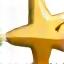 Una stella di valutazione dorata
